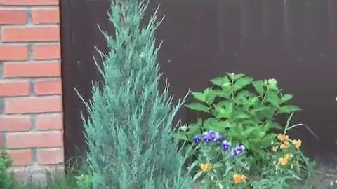 20160713195949