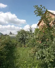 Продам дачу 80.0 м² на участке 6.0 сот этажей 2 город Омск садовое некоммерческое товарищество Ивушка Азовский р-н, Гауфское сельское поселение, 5-я аллея